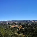 Cabanas Mirador Los Avellanos